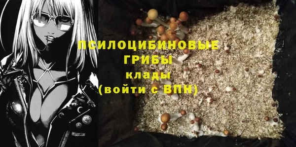 винт Ельня