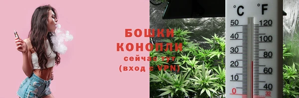 ALPHA PVP Белокуриха