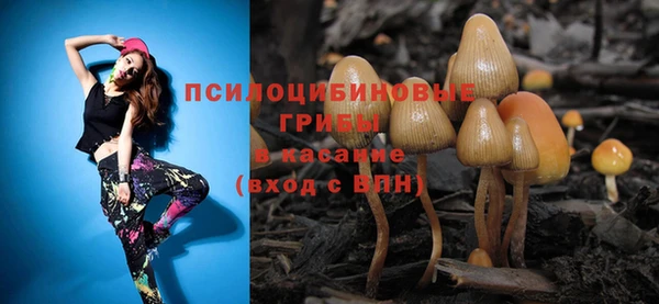 ALPHA PVP Белокуриха