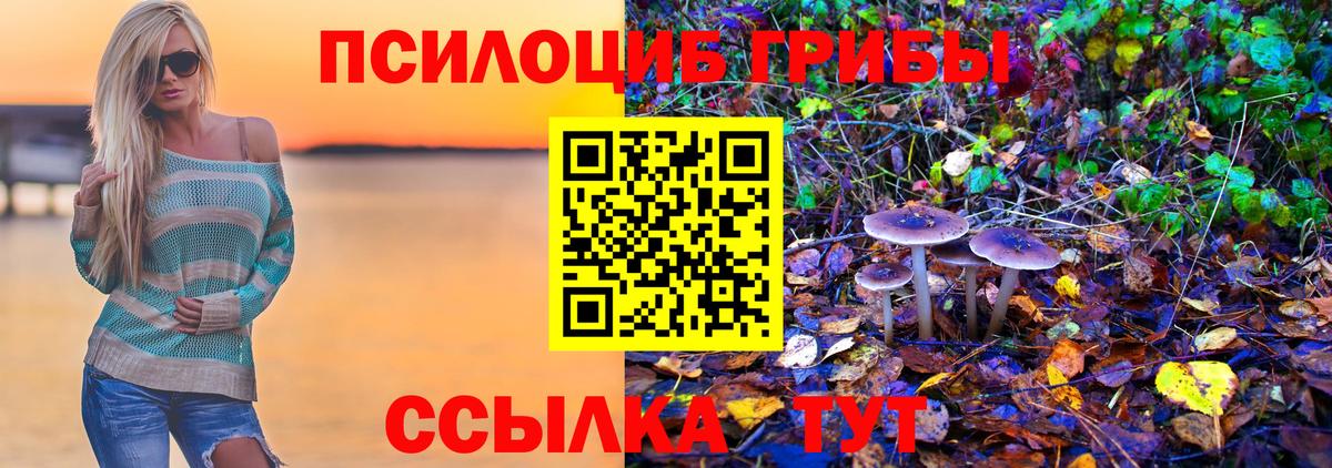 Псилоцибиновые грибы мухоморы  Буйнакск  Галлюциногенные грибы ЛСД 