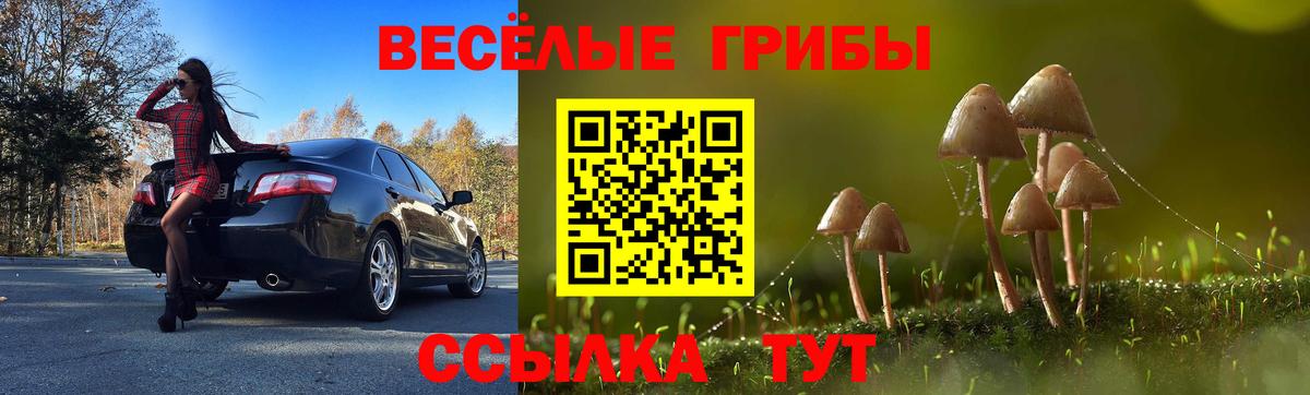 Псилоцибиновые грибы Cubensis Буйнакск